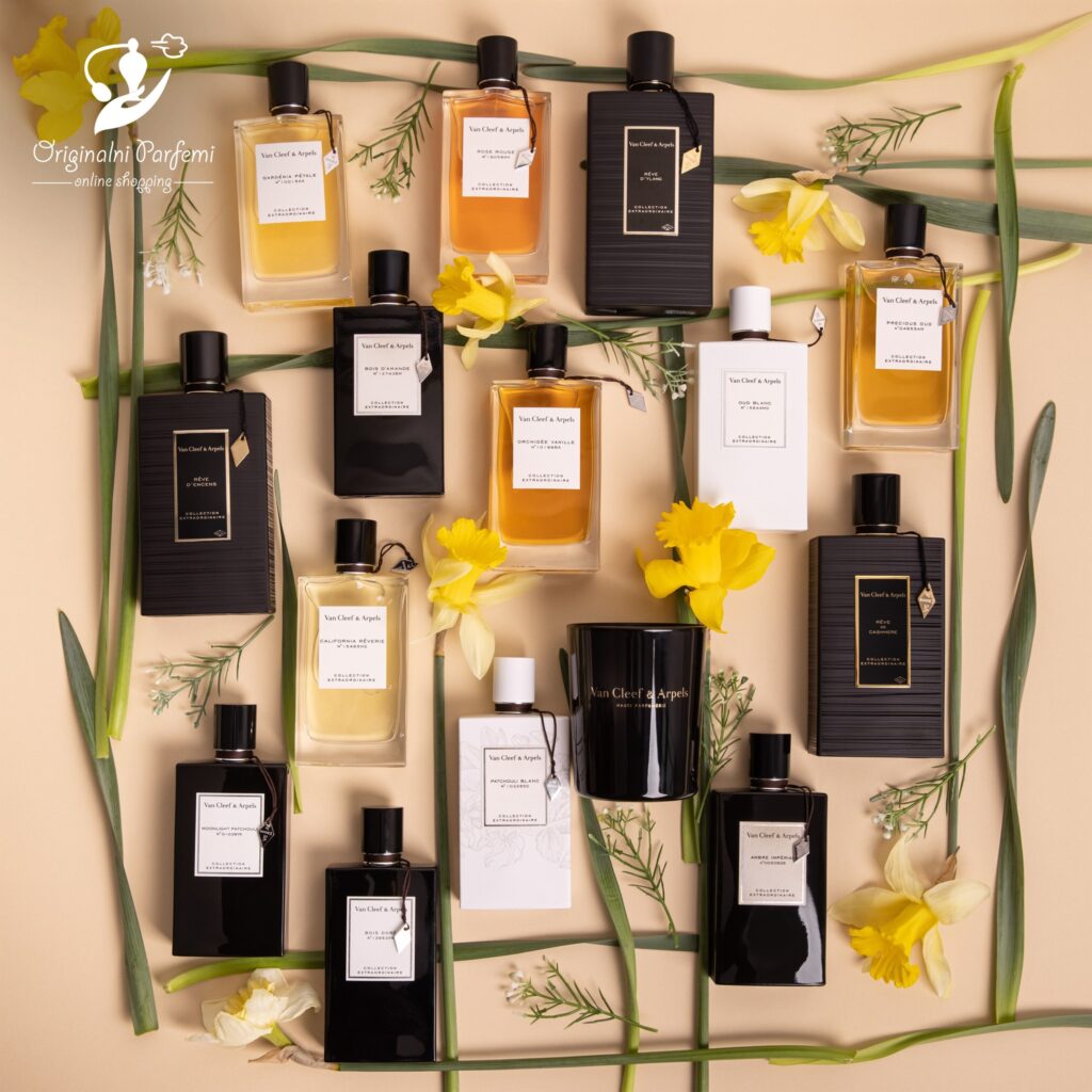 280036719_5244996048913205_3505298439595267740_n